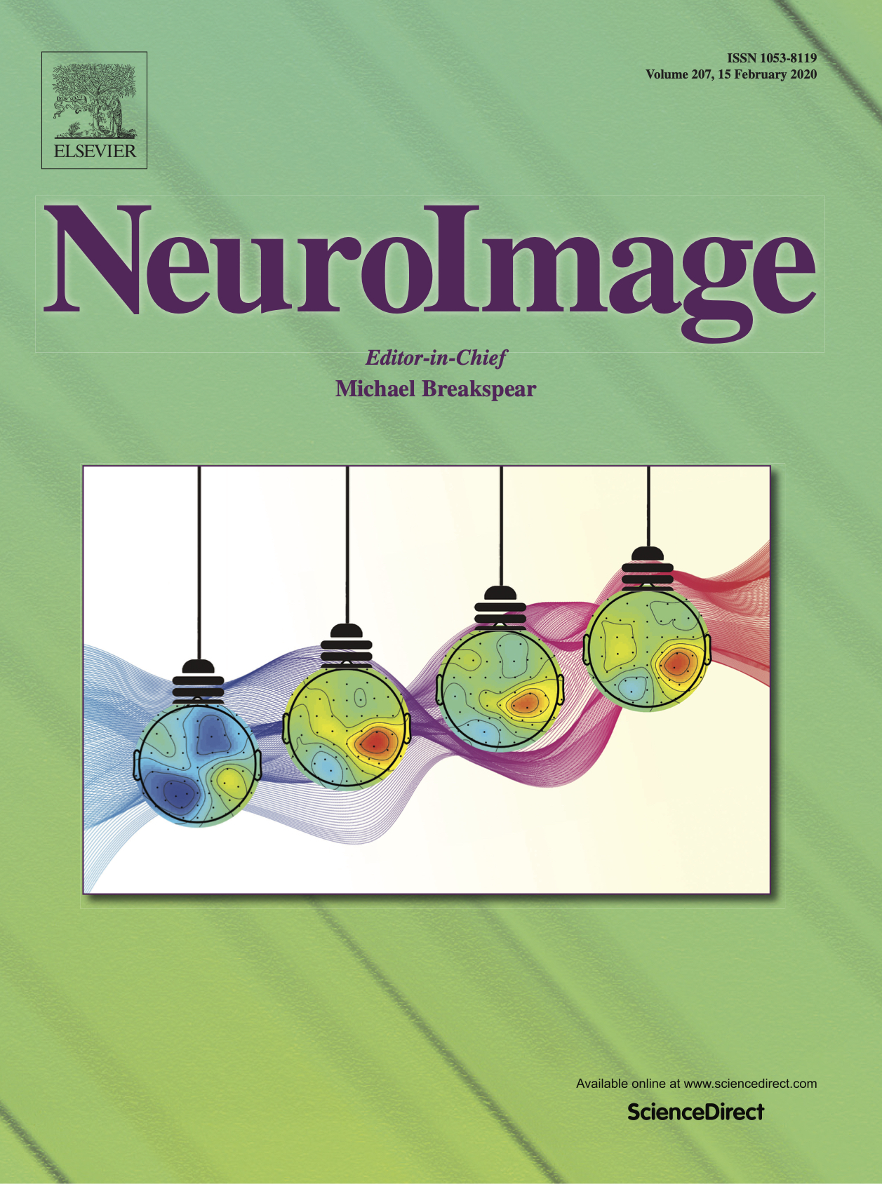 NeuroImage Volume 207 – Cover – Marconi Institute for Creativity